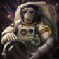 Galactic Chimp
