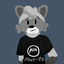 wokeraccoon