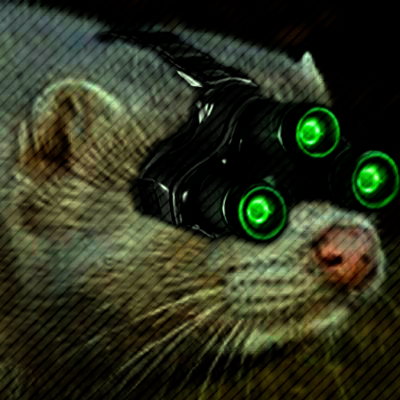 VisonMignon