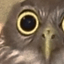 goffmog