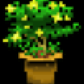 Melon_spirit