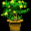 Melon_spirit