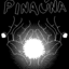Pinauna