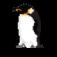 MrPouletBZH
