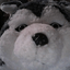 HuskyLover269