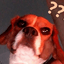 Letsgall