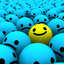 DR_Felice