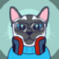 Pixelipy