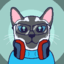 Pixelipy