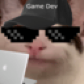 CrazyKittens 892 YT