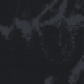 gnevesdev