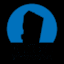 domsse interactive