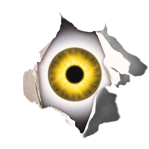 L1Q