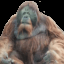 orangutanrider