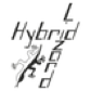 HybridLizard