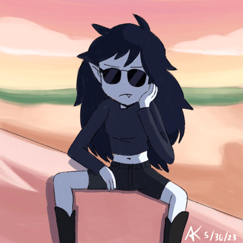 LAN_041
