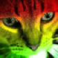 INDIOLOKO