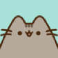 BlackCat508