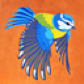 Fiordarancio