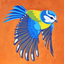 Fiordarancio