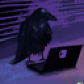 LDJam user 298496