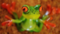 stupidfrog