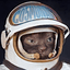 CO5MONAUT