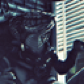 SnekOfSpice