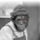LDJam user 317693