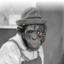 RobotChimp