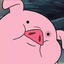 Stellarr2