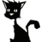 Tapot