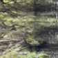 Nescre