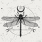 LDJam user 374126