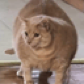 Paul Thick
