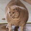 Paul Thick