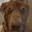 MisterCarson