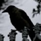 LDJam user 383058