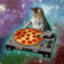 Iwant_Pizza