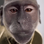 Willbone