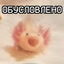 AxolotlUwU