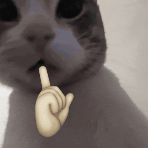 kuwisterr