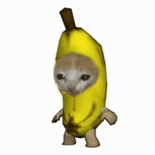 Sofari