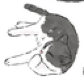 LeoiX