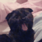 LULU_hihi