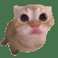 Svney
