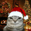 Cahard