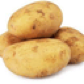 potato-squad