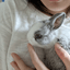 21x