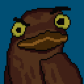 brawnyfrogmouth
